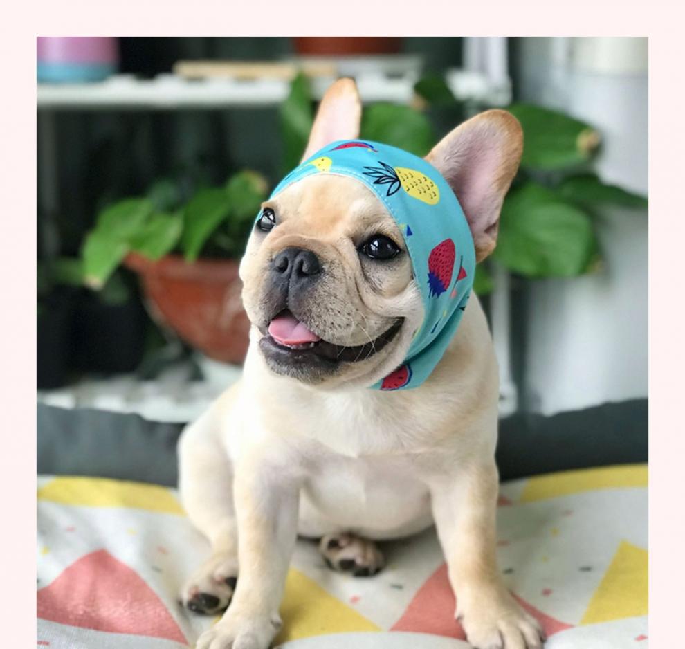 宠物狗狗口水巾三角巾围巾猫咪中小型犬法斗金毛泰迪围脖