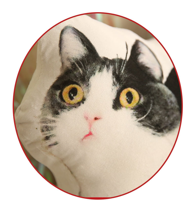 《肖战同款坚果猫咪公仔玩偶布娃娃毛绒玩具3d印花抱枕生日礼物女孩