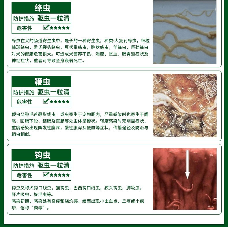爵氏 Nogility 宠物保健爵氏肠虫宁狗狗驱虫药体内打虫片宠物猫咪犬用除虫泰迪猫幼犬打虫 价格图片品牌报价 苏宁易购奥莎瑷普宠物用品专营店