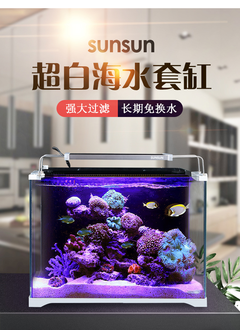 茉写宠物日用超白海水鱼缸小型玻璃桌面生态缸海水缸水族箱背滤缸 价格图片品牌报价 苏宁易购玖信宠物用品专营店