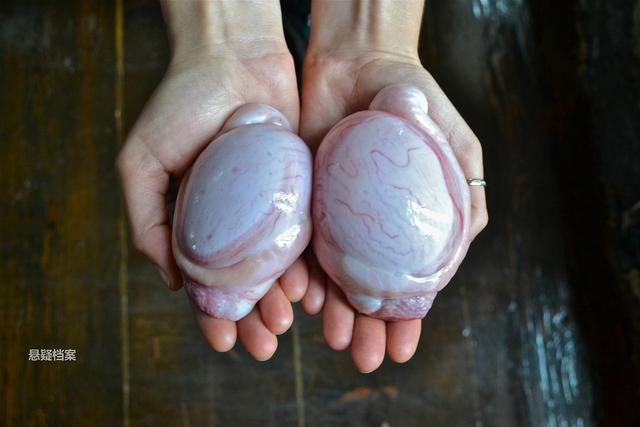 牛腿骨切片无肉无髓(3斤) 羊宝 羊蛋 羊鞭 羊腰子 羊睾丸 羊肉 羊排