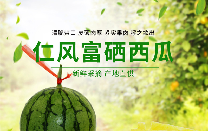 xj山东济南仁风富硒小兰西瓜新鲜心瓤小吊瓜西瓜水果可开发票5斤约23