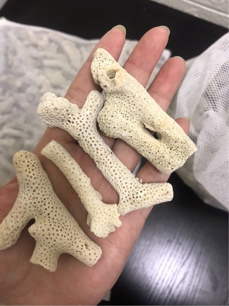 珊瑚骨鱼缸滤材优质珊瑚砂珊瑚石碎珊瑚骨装饰水族造景 优质过滤1
