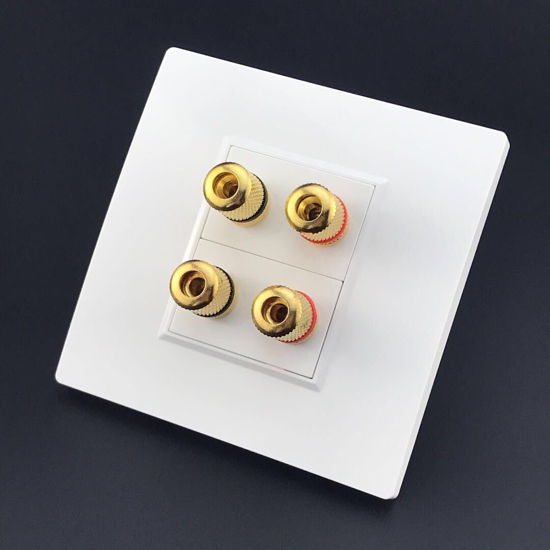 86型二位音响插座面板四头4孔音箱线51环绕音频香蕉头线柱插座一位