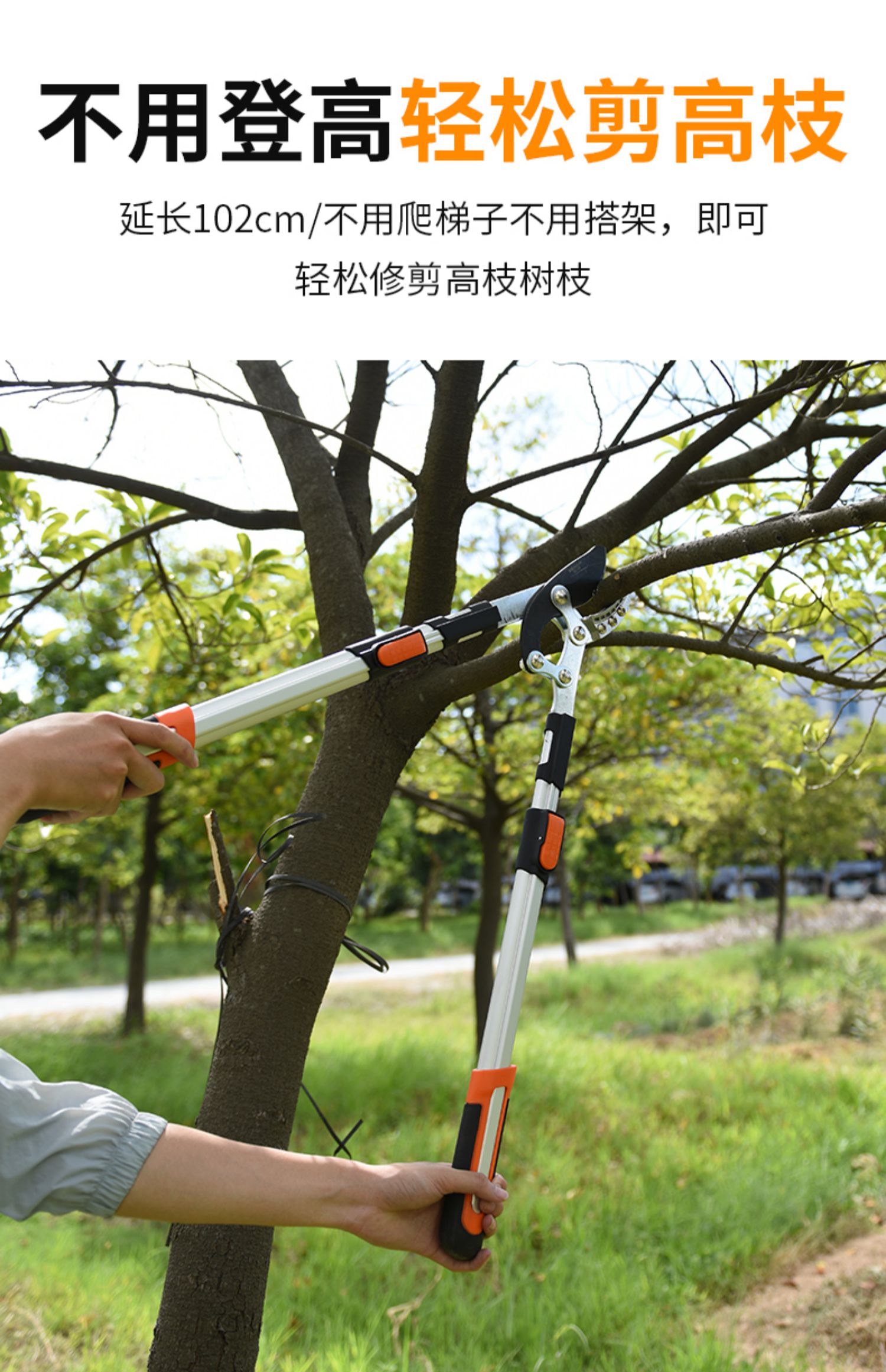 jing ping剪枝剪刀果树修枝专用树枝剪园林修剪神器强力修大力粗枝大