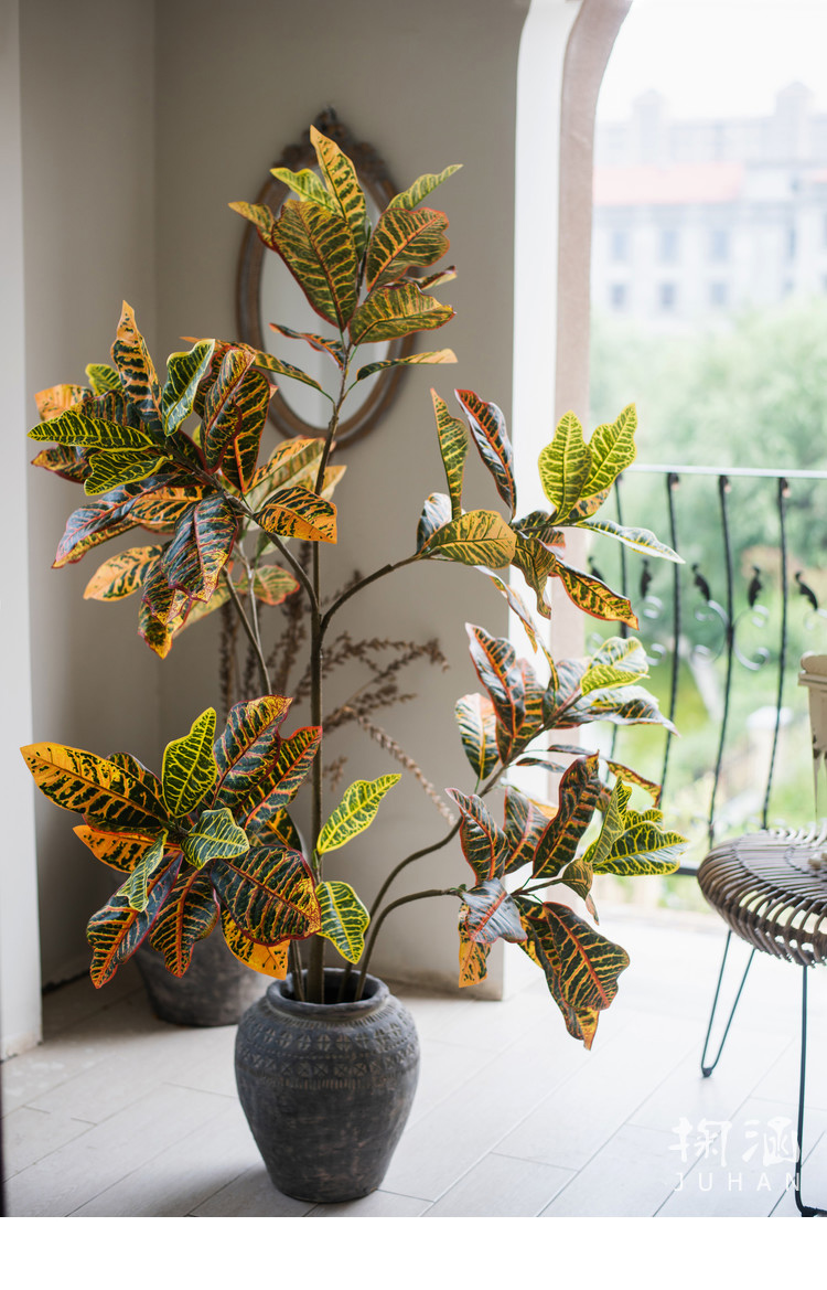 洒金榕树变色木超大型绿植盆景盆栽仿真植物地面装饰办公室非洲艺术古