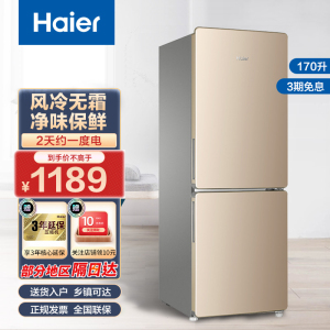 海尔(Haier)170升双门冰箱 风冷无霜 炫金外观 节能家用电冰箱 两门冰箱 家用小冰箱BCD-170WDPT