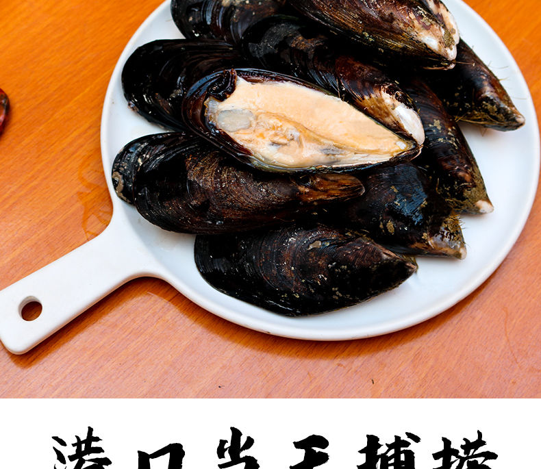 坏单包赔鲜活海虹青口贝贻贝淡菜新鲜直达紫口贝类海鲜水产1/5斤