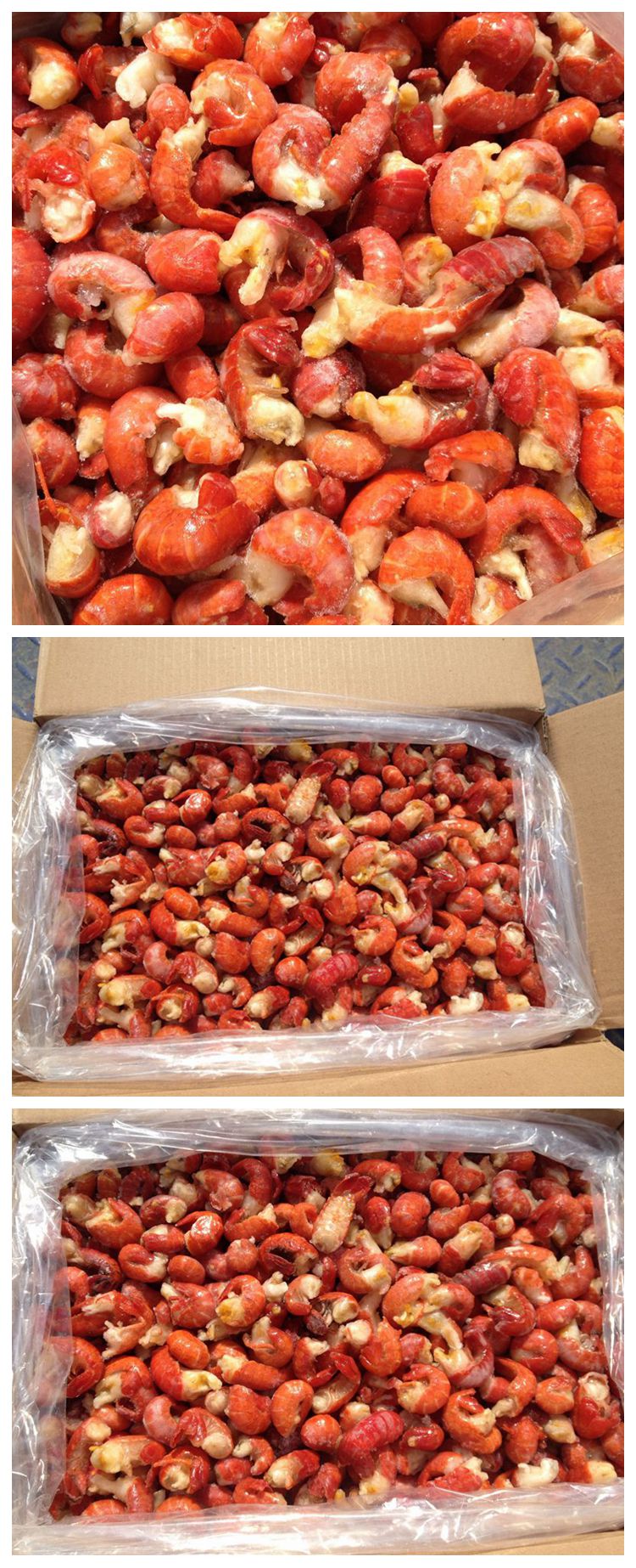 鲜活冷冻小龙虾大号虾尾龙虾尾虾尾麻辣小龙虾虾球麻辣虾尾邮