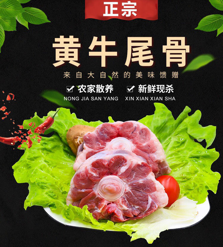新鲜牛尾骨黄牛尾巴黄牛肉清真冷冻批发品质牛尾巴3斤