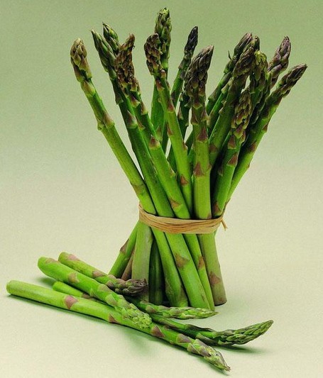 子喧秋季蔬菜种子芦笋种子美国进口蔬菜阳台四季高端保健种菜