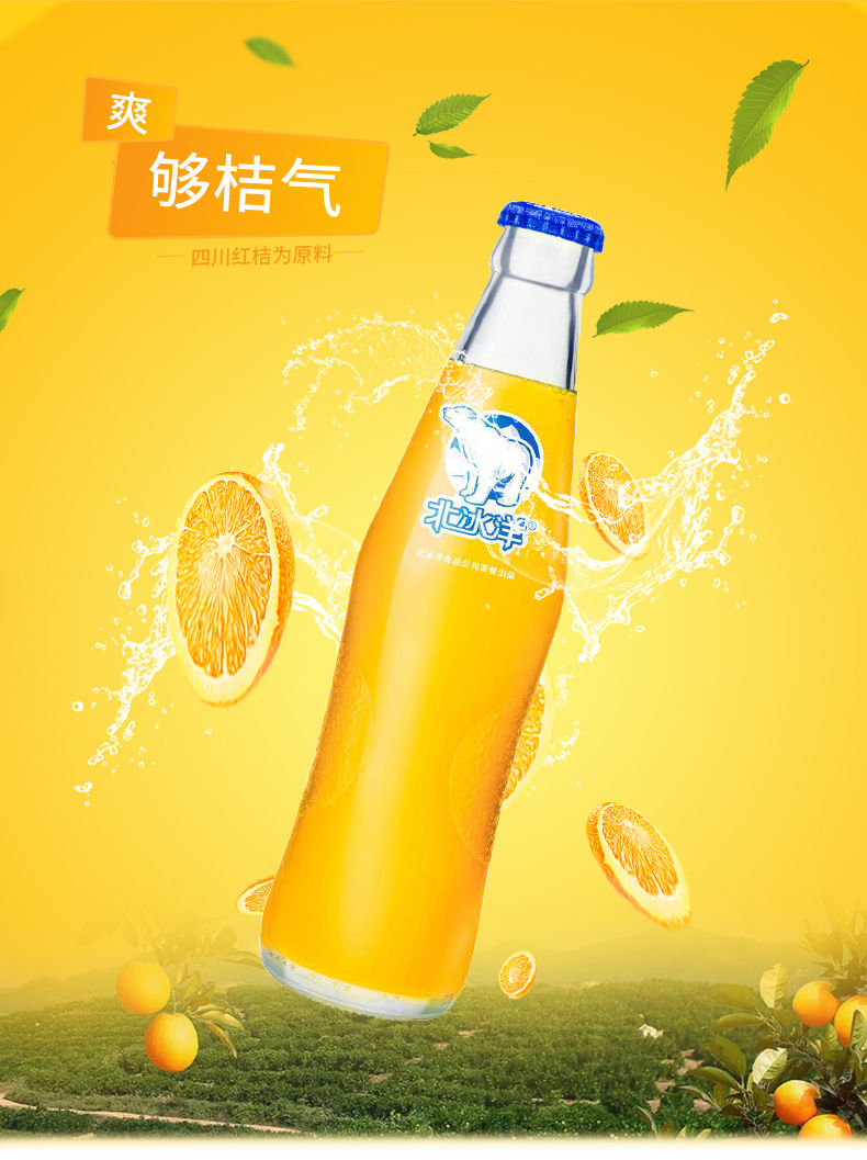 《北冰洋 桔汁橙汁玻璃瓶双拼248*6整箱 248ml*6瓶》无著【摘要 书评