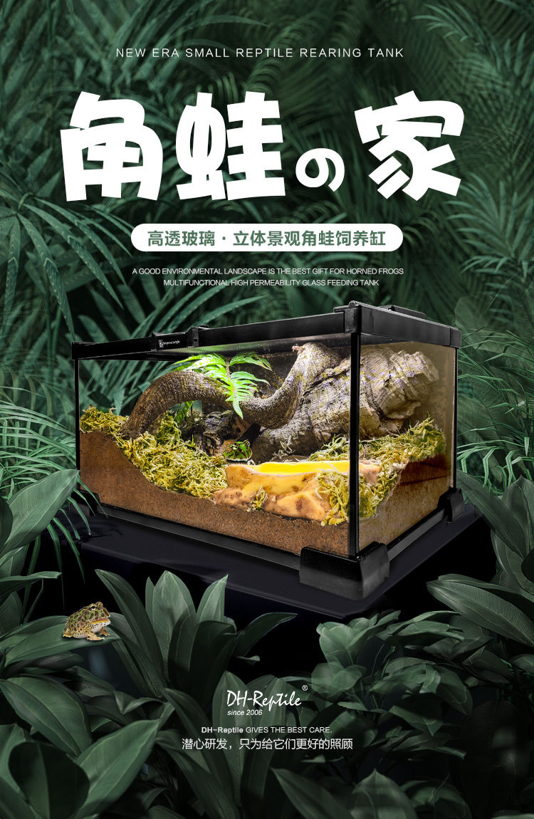 锁扣x2玻璃饲养箱套装爬虫缸雨林爬宠守宫蜥蜴角蛙蜘蛛甲虫变色龙生态