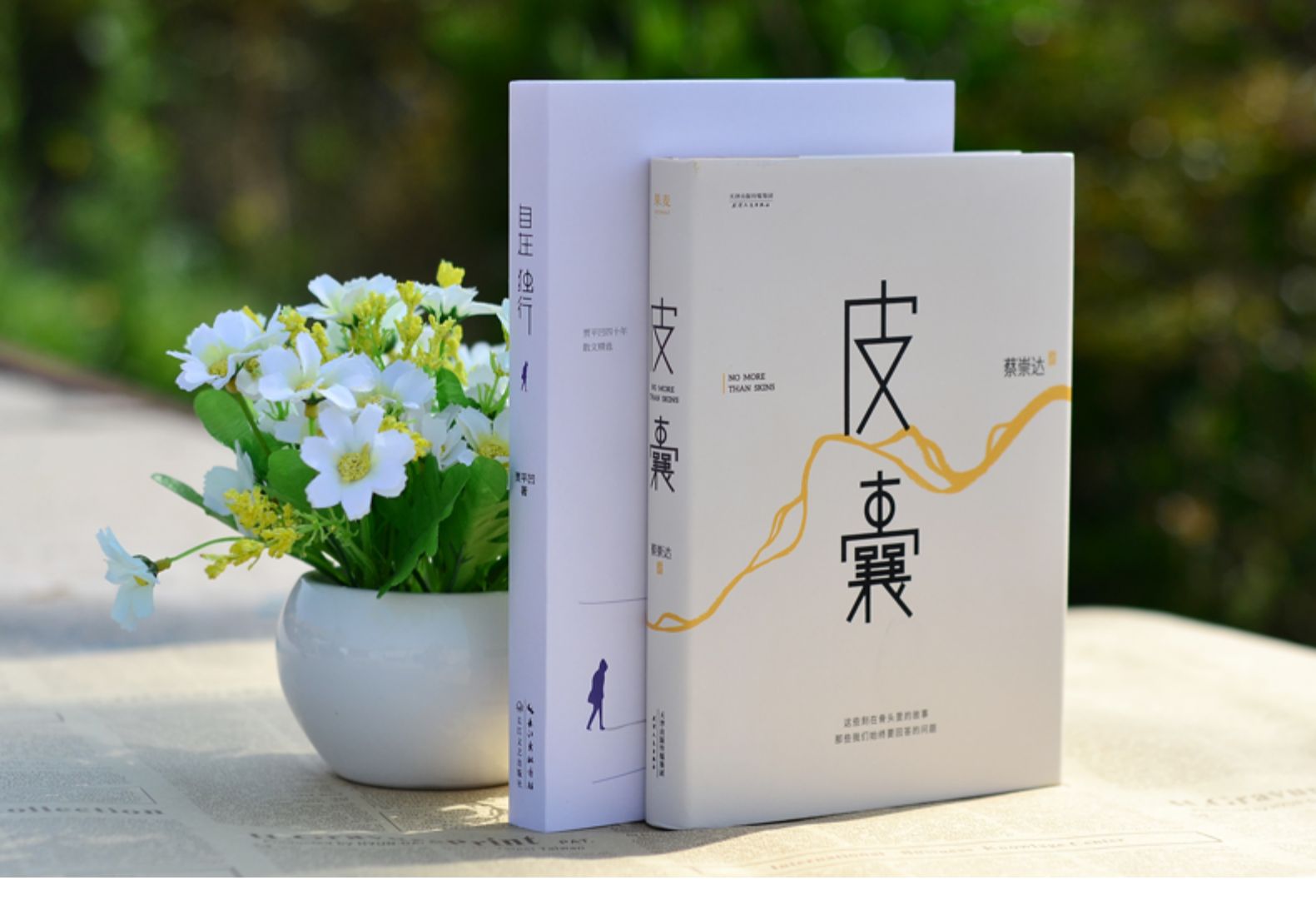 正版 皮囊 自在独行(全套2册)蔡崇达 贾平凹散文集著作当代名家经典