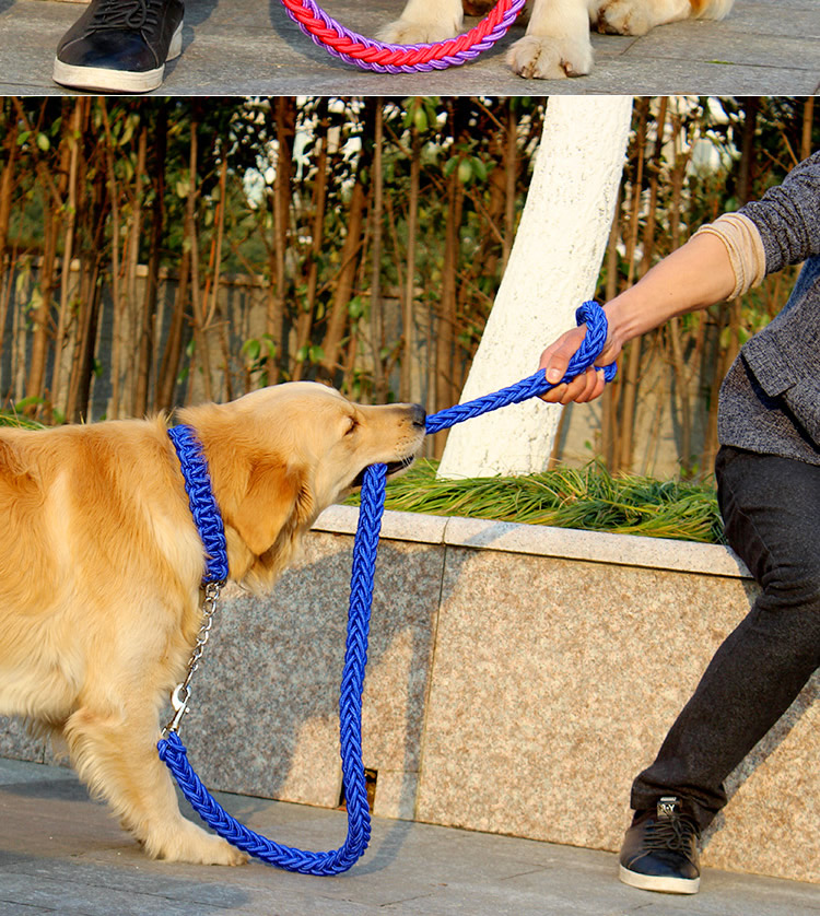 隆吉吉出行装备 大狗牵引绳项圈中大型犬遛狗带阿拉斯加金毛狗链子