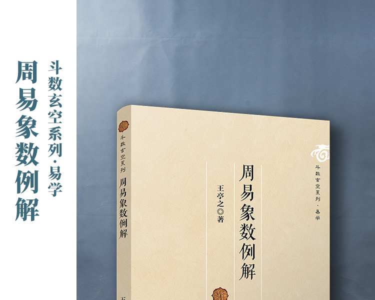 周易象数例解王亭之玄学书籍中国哲学斗数玄空系列入门书籍复旦大学