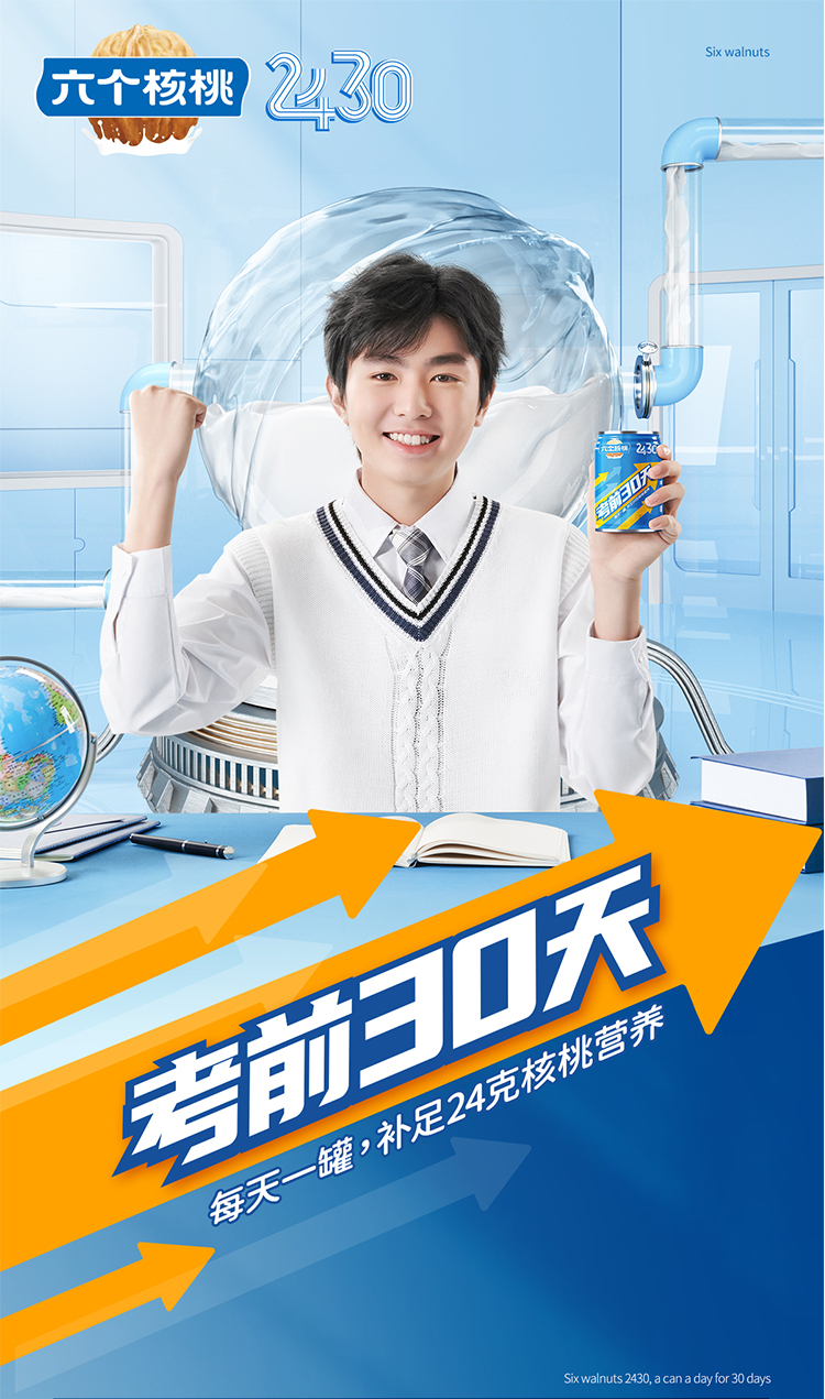 养元六个核桃官方旗舰店2430考前30天240ml15饮料植物蛋白饮料