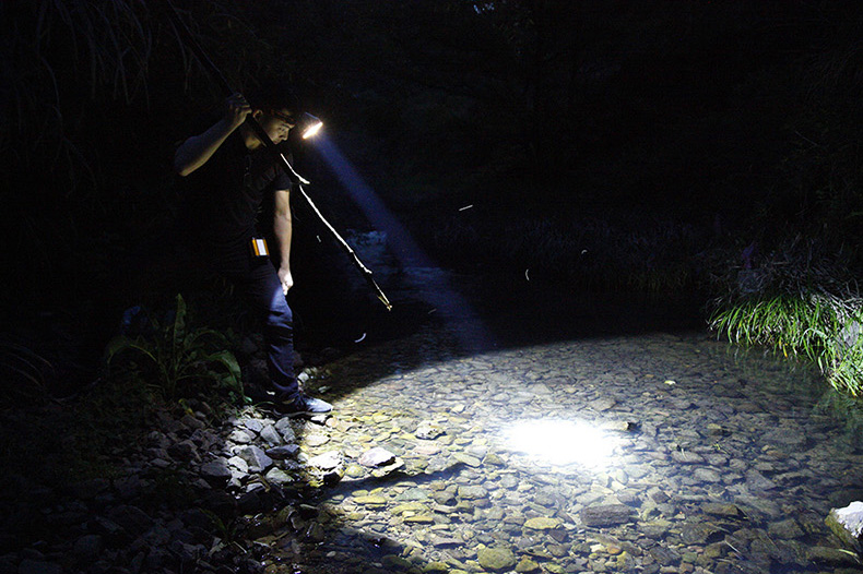 头灯强光充电超亮头戴式感应变焦led锂电夜钓鱼矿灯小疝气超轻