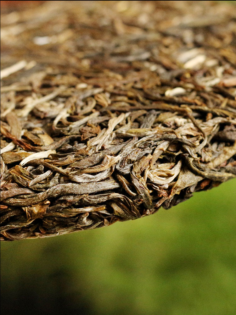 滇湘普洱茶生茶饼云南大叶普洱2019年勐海头采大树春茶帕沙200g七子饼