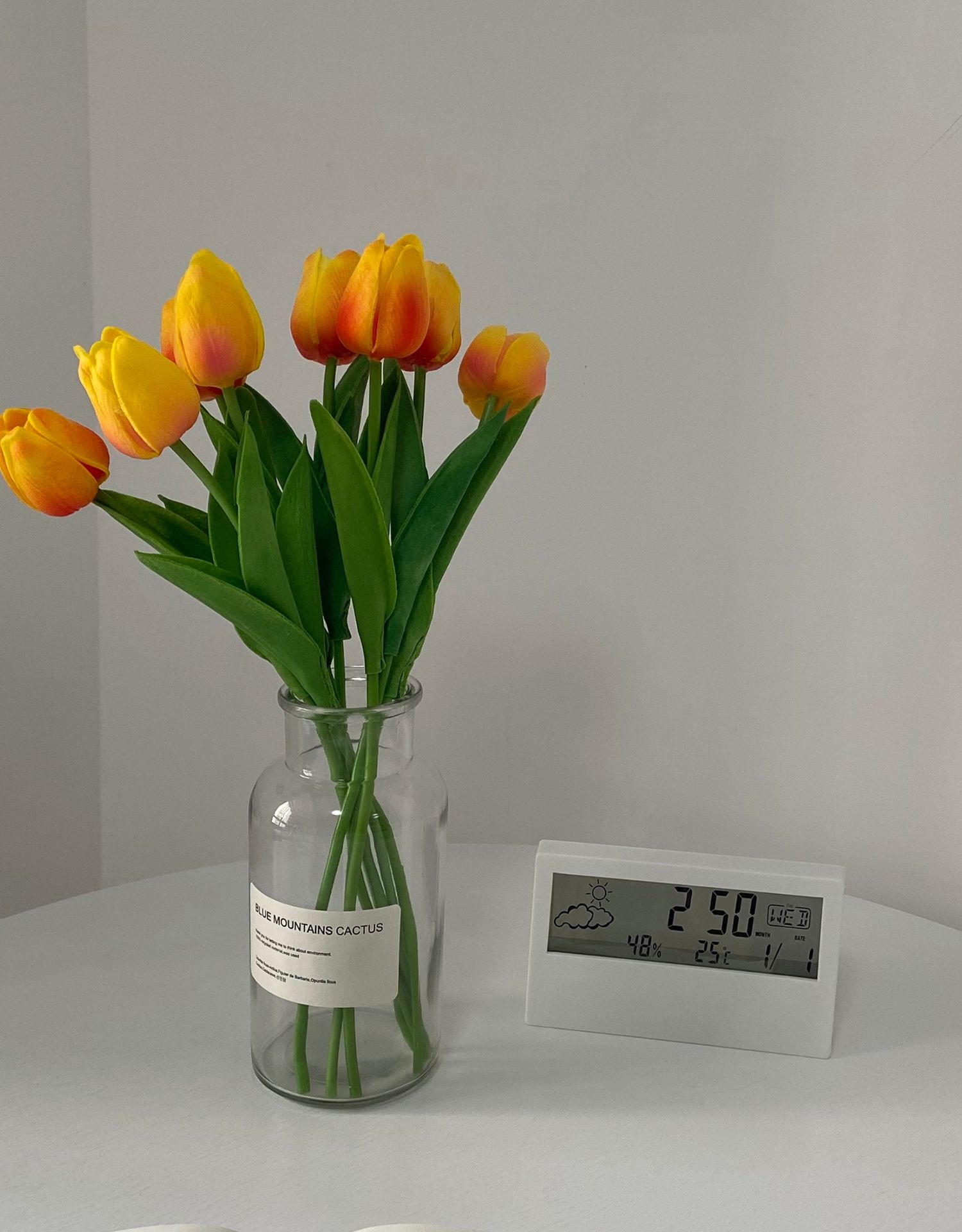 三维工匠郁金香ins风桌面装饰摆件少女心网红款可爱仿真假花奶白色十