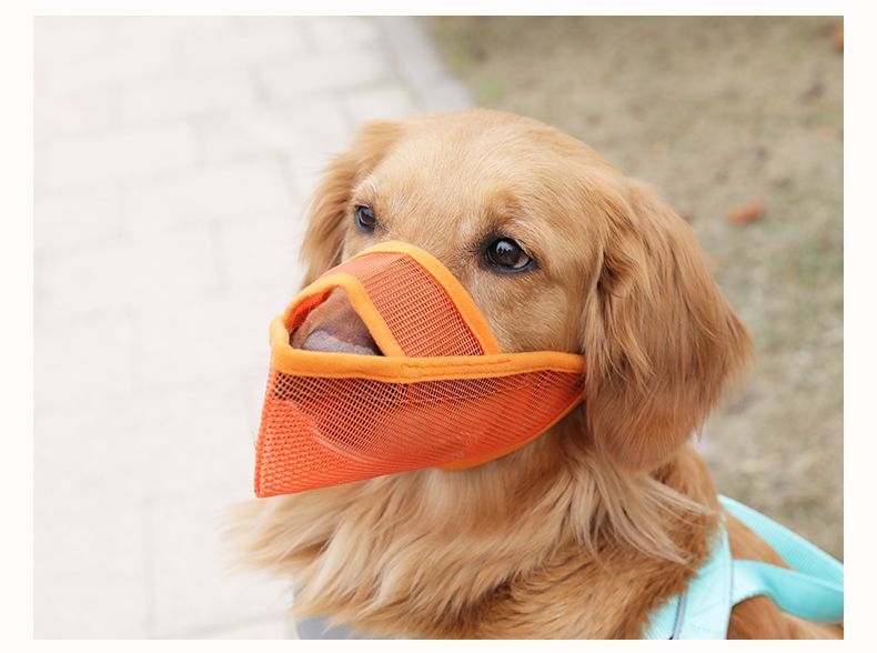 狗狗嘴套防咬口罩米妮防叫乱吃宠物金毛拉布拉多狗罩嘴罩嘴巴套大型犬