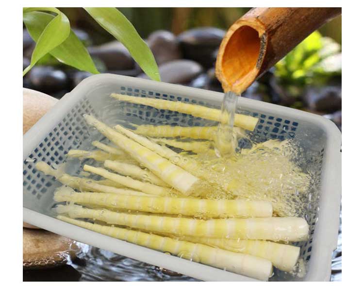 个人店其他品牌生活家居 四川特产小竹笋新鲜春笋农家雷火锅笋子笋片