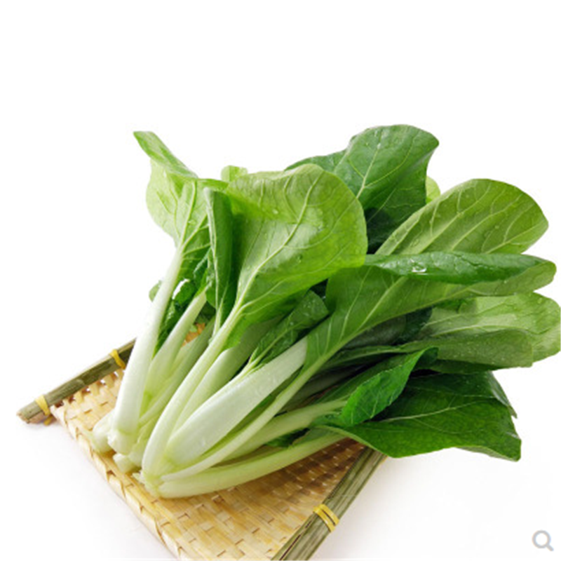 早熟奶油小白菜种子小青菜籽 阳台种菜家庭盆栽蔬菜种子蔬菜种籽 早熟