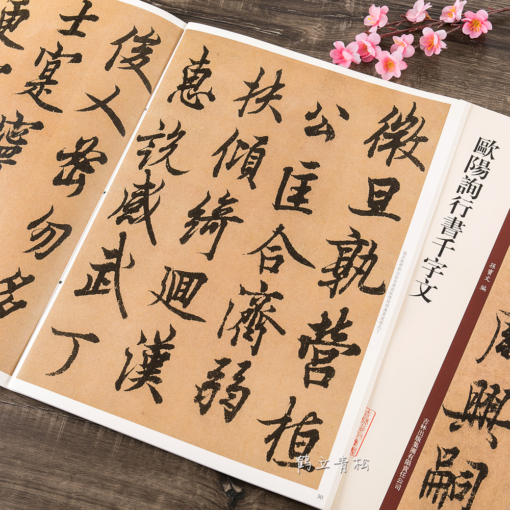 欧阳询行书千字文 碑帖珍品临摹本第二集 行书毛笔书法字帖 彩色放大