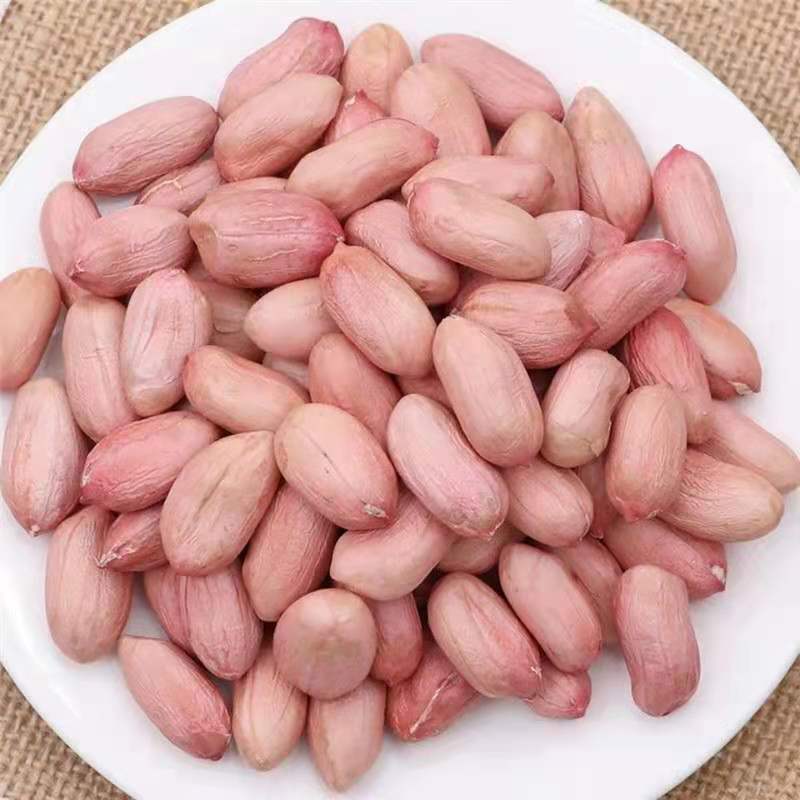 山东花生米生花生新鲜花生花生去壳花生米批发价散装