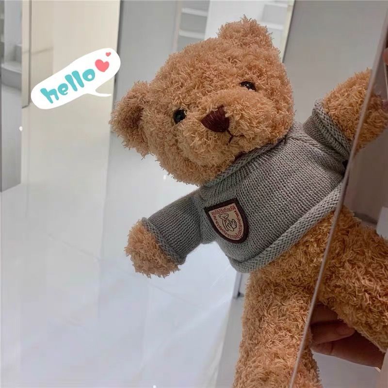 ins小红书同款毛绒布偶熊公仔玩偶儿童生日礼物玩具卡通可爱熊仔棕色