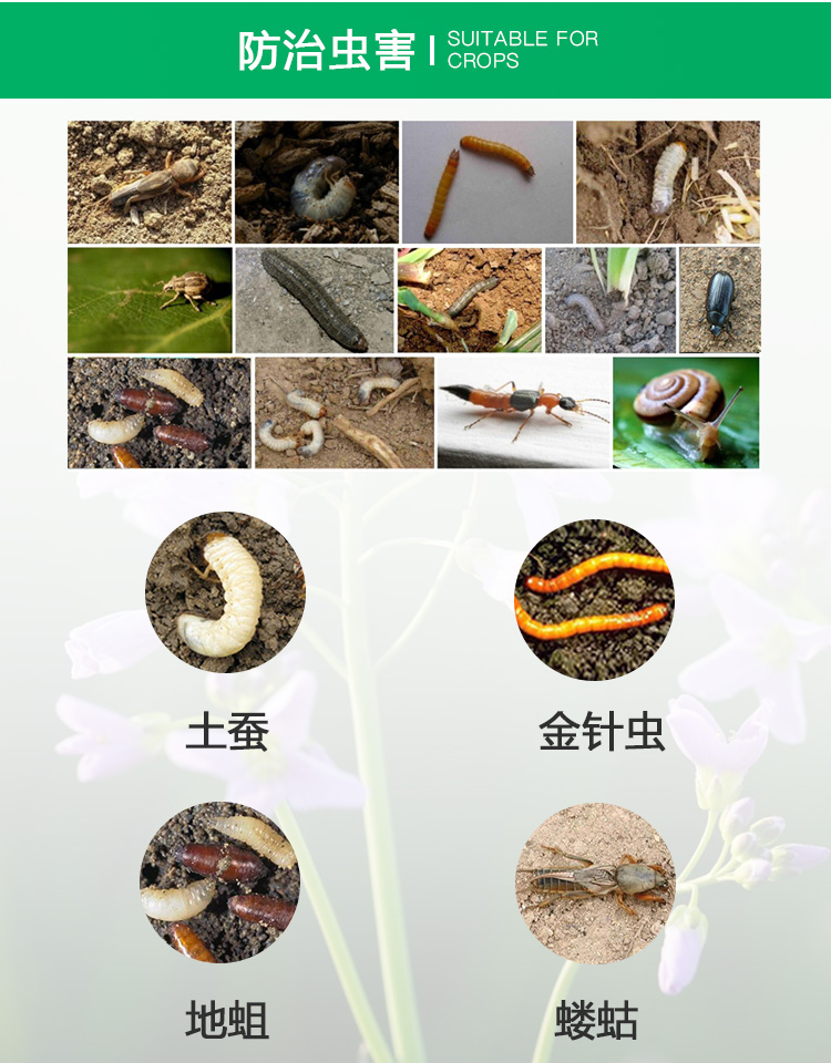 土蚕地蛆地老虎金针虫蛴螬蝼蛄黑头蛆地下害虫高效 杀虫剂 邮