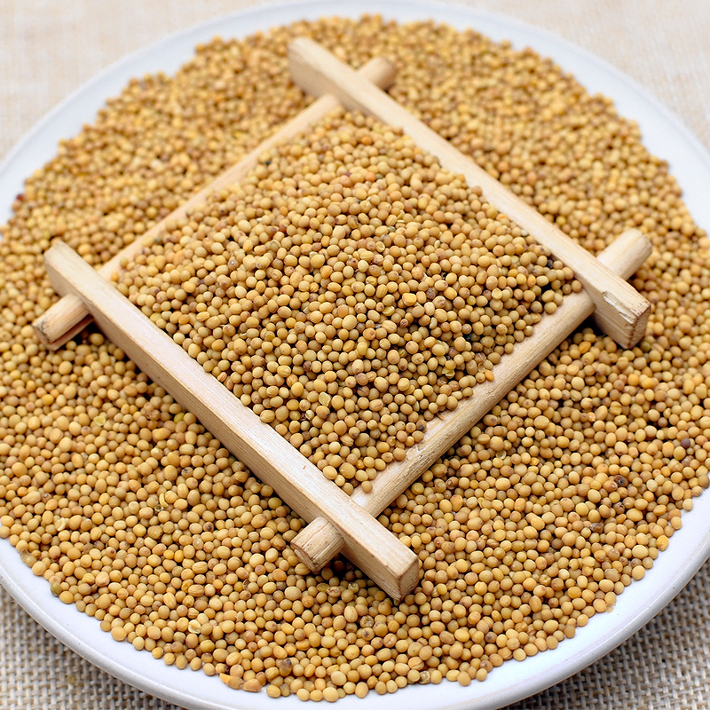 黄芥末籽500克 白芥子孑食用芥末粉未茉凉粉自制jemo芥菜籽
