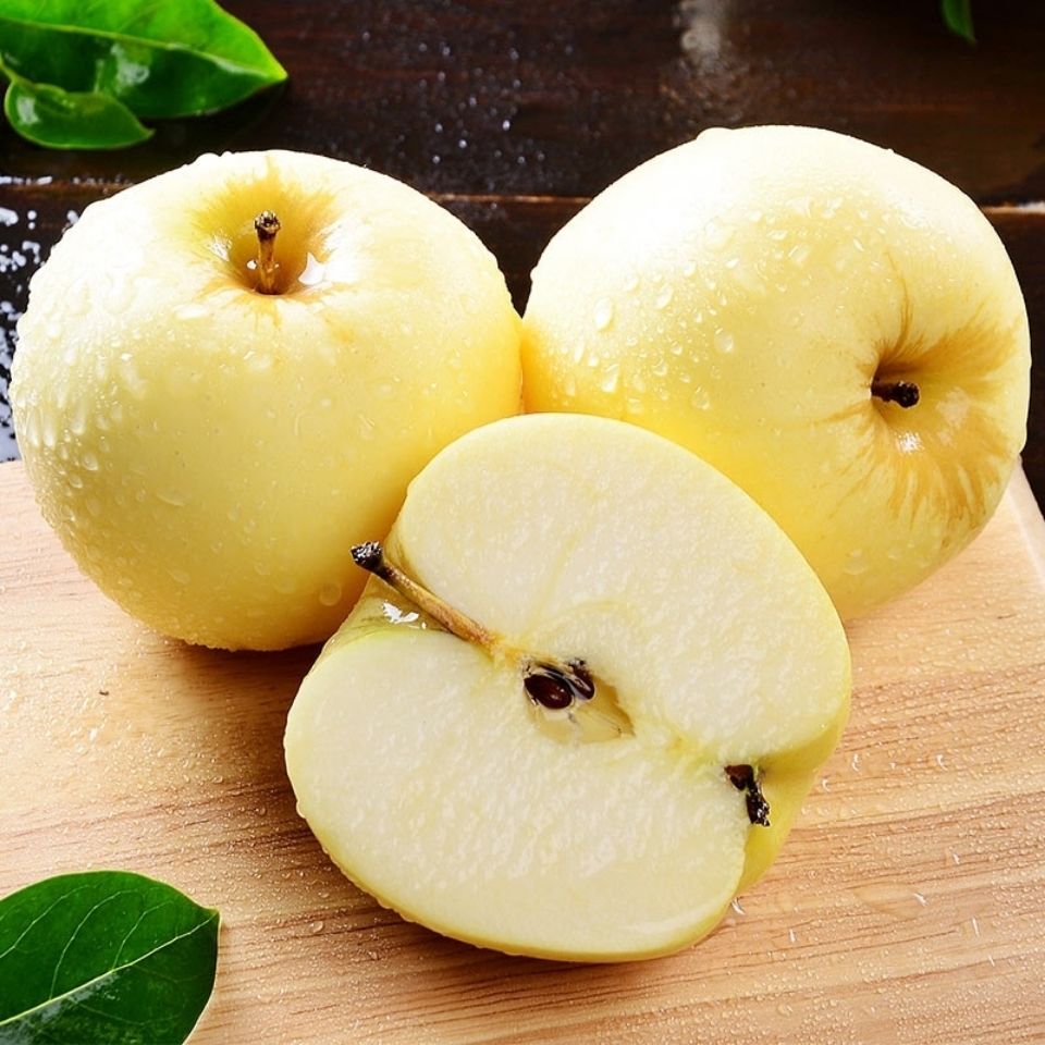 赛卡伊苹果类 赛卡伊 辽宁黄元帅苹果新鲜黄金帅苹果水果10甜粉婴儿刮