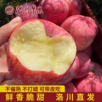 [通货实惠装]陕西洛川苹果红富士 带箱5斤中果75mm尝鲜款