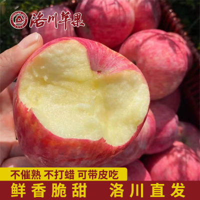 [通货实惠装]陕西洛川苹果红富士 带箱5斤中果75mm尝鲜款