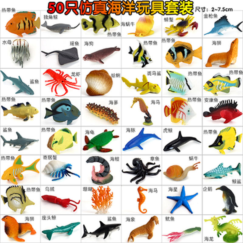100种海洋生物名称大全图片