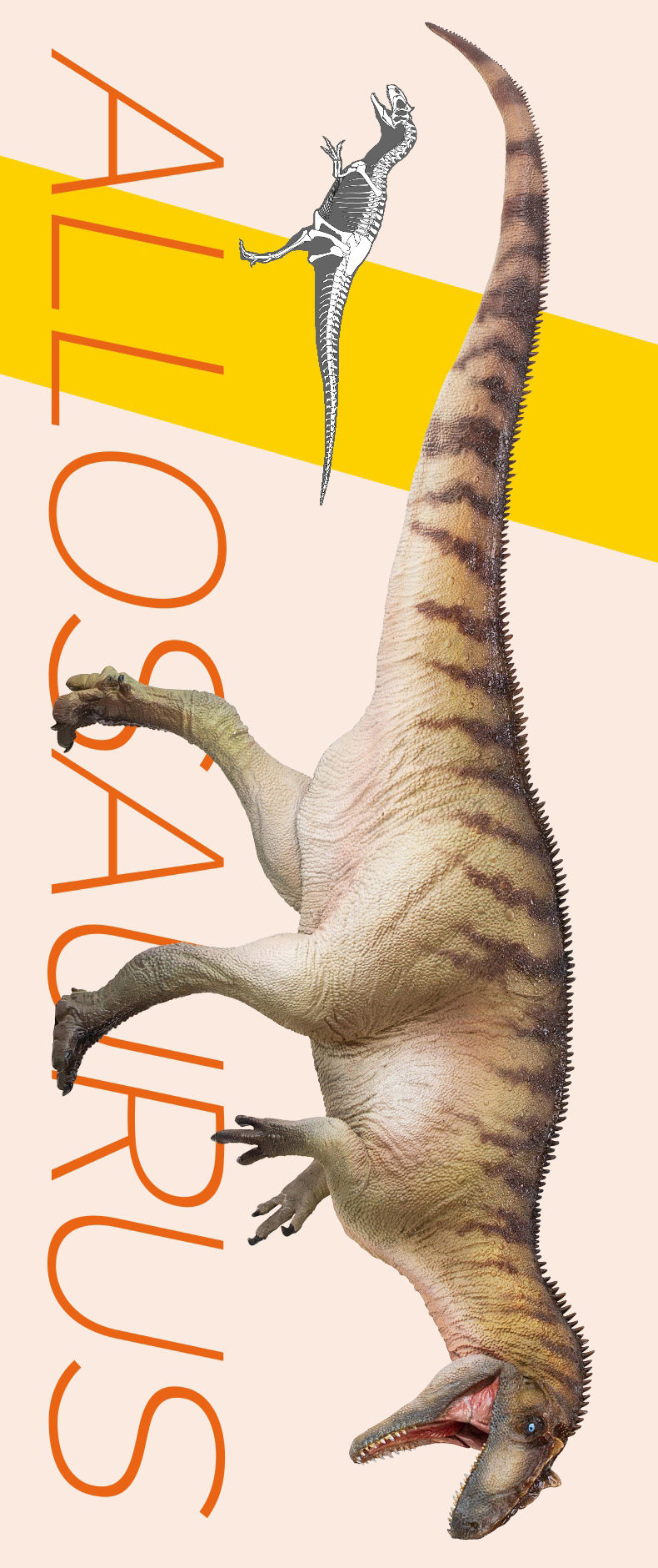 pnso恐龙大王成长陪伴模型45异特龙保罗