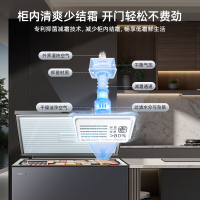美菱(MeiLing)301升减霜84.1%大容量家用冰柜冷藏冷冻转换冷柜雪糕冰柜一级能效卧式冰箱BC/BD-301DT