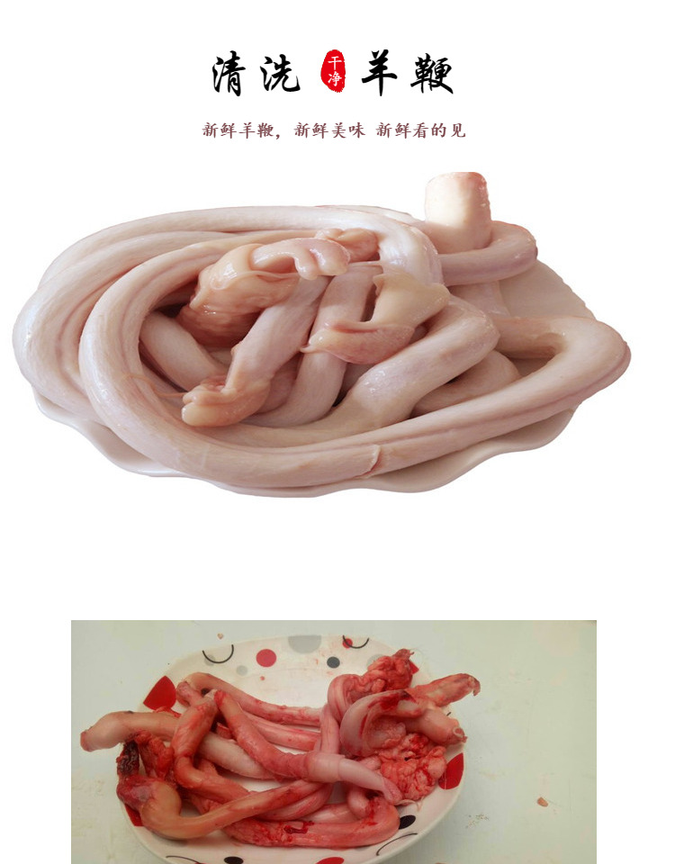羊鞭新鲜黑山羊鞭5g羊蛋羊宝羊生殖器