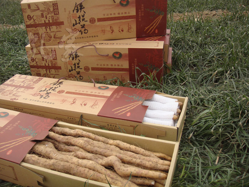 铁棍淮山河南焦作新鲜垆土铁棍山药温县怀山淮山药5斤礼盒装