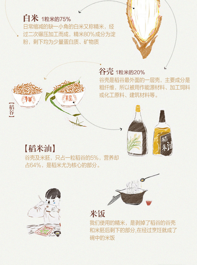 金龙鱼双一万稻米油1.8L*2