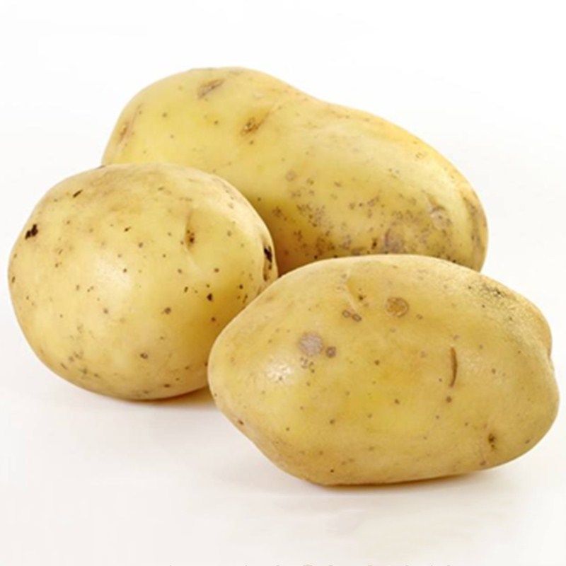 5斤装东北黑龙江农家新鲜大土豆纯正黄心土豆马铃薯蔬菜