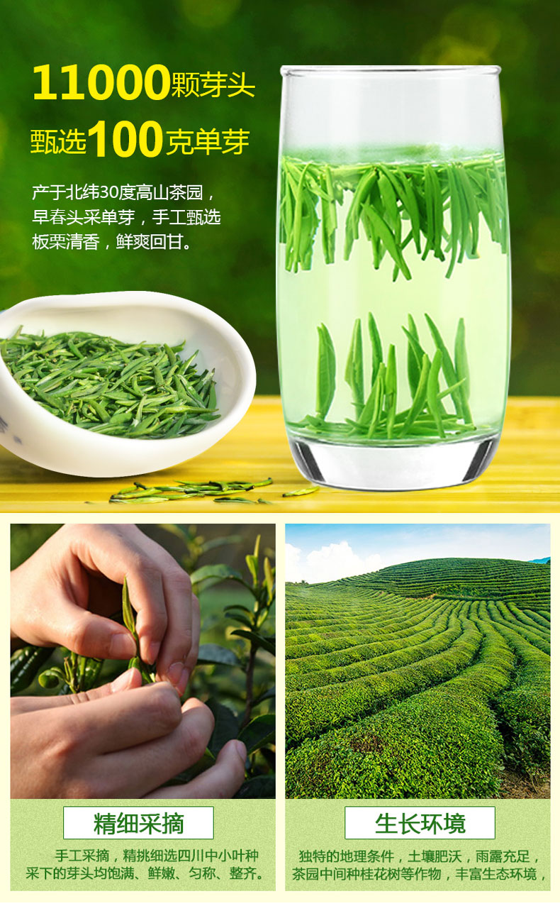 绿茶 茶叶雀舌2019新茶明前春茶雀舌散装特级嫩芽毛尖茶叶100g