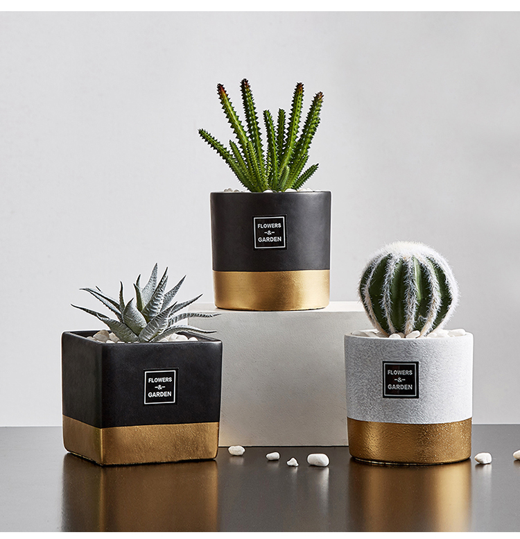 用品/礼品 时尚北欧仙人掌假花仿真植物绿植装饰室内客厅卧室电视柜