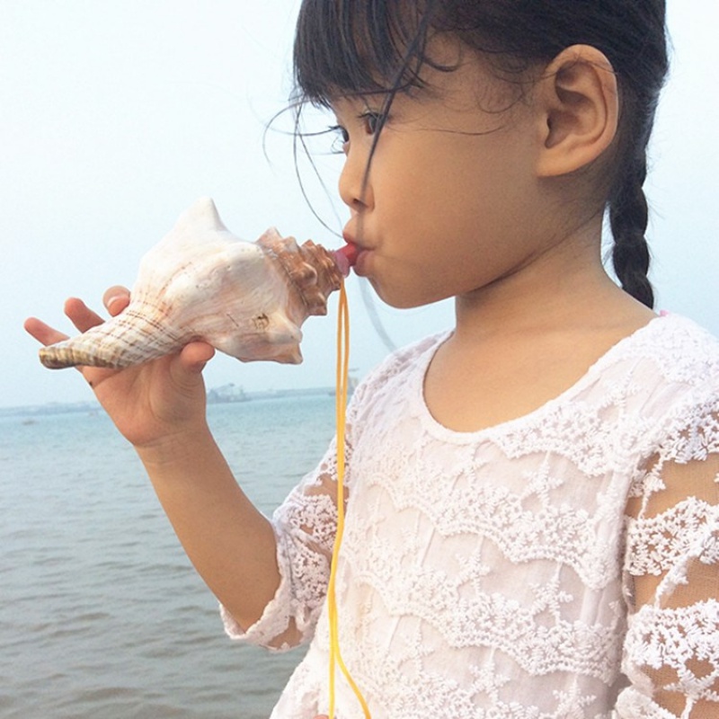 可以吹的海螺玩具口哨儿童创意小螺号摆件天然贝壳工艺品号角