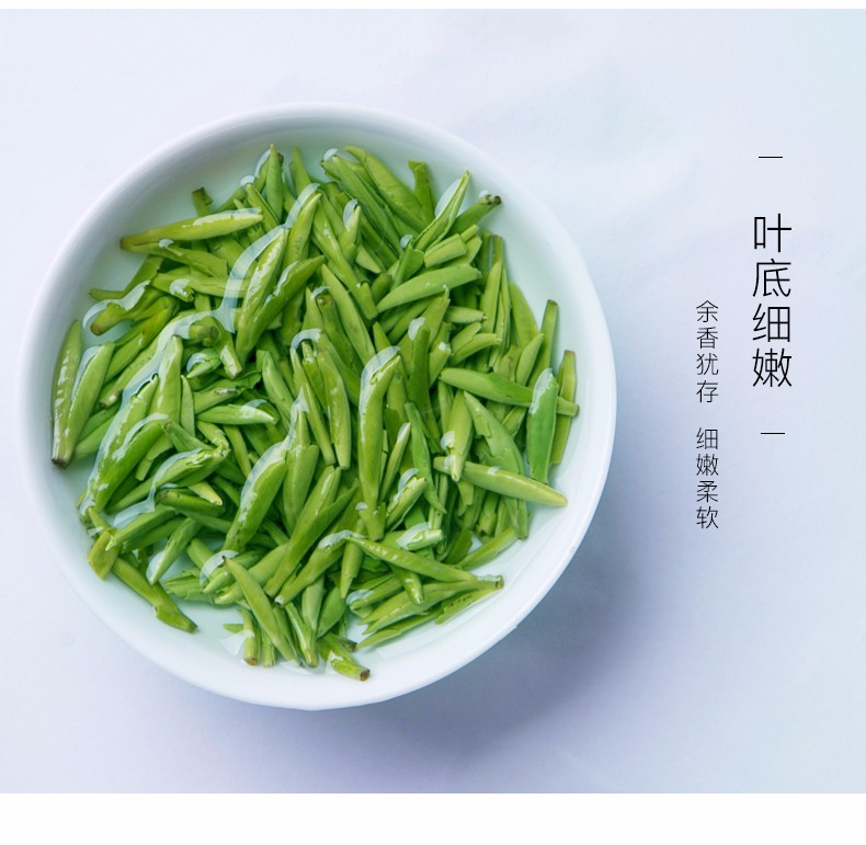 川茶集团尊龙绿茶实心单芽茶四川高山茶叶礼盒装180g