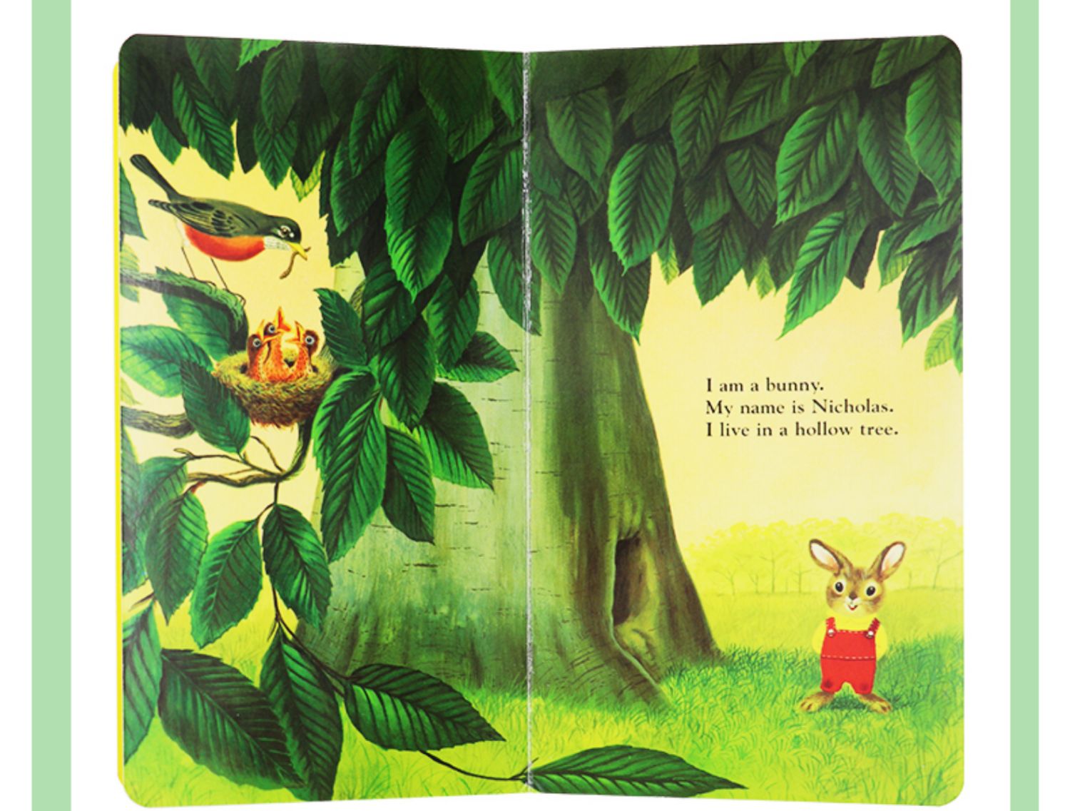 [诺森正版]我是一只兔子i am a bunny英文原版绘本 animal stories5册