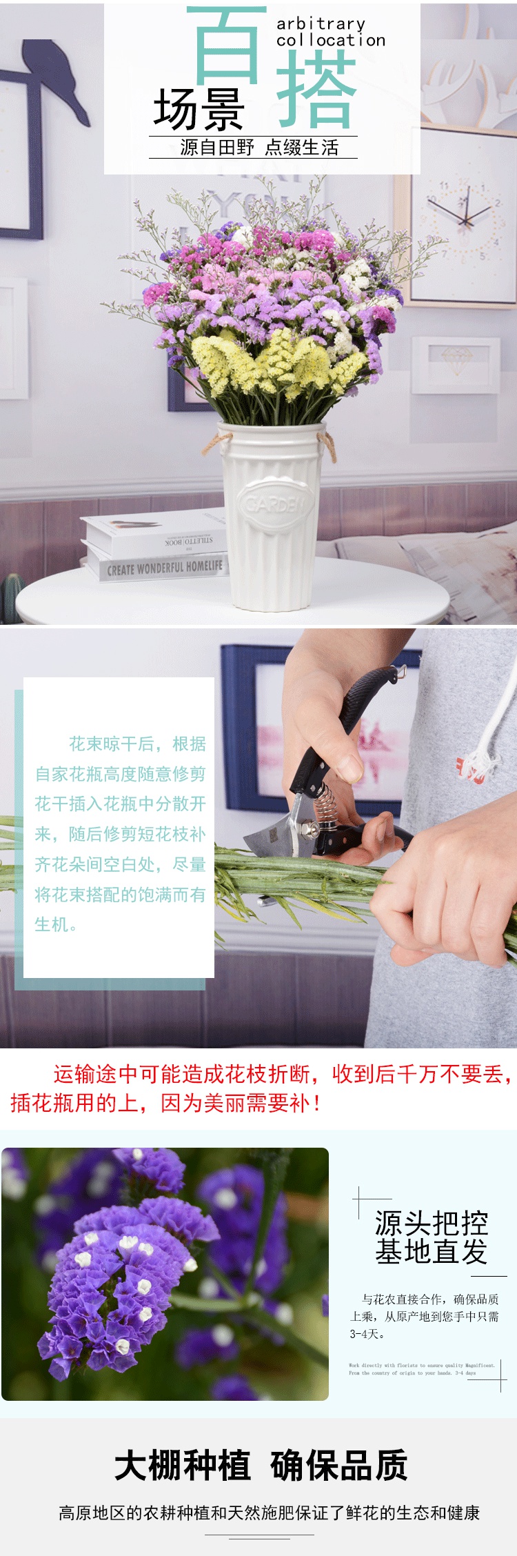 Ciaa花瓶 花艺云南勿忘我鲜花ciaa真花满天星花束客厅摆设花干花花束家居装饰摆件紫 粉 情人草长款2斤不含花瓶 价格图片品牌报价 苏宁易购会心家装建材专营店