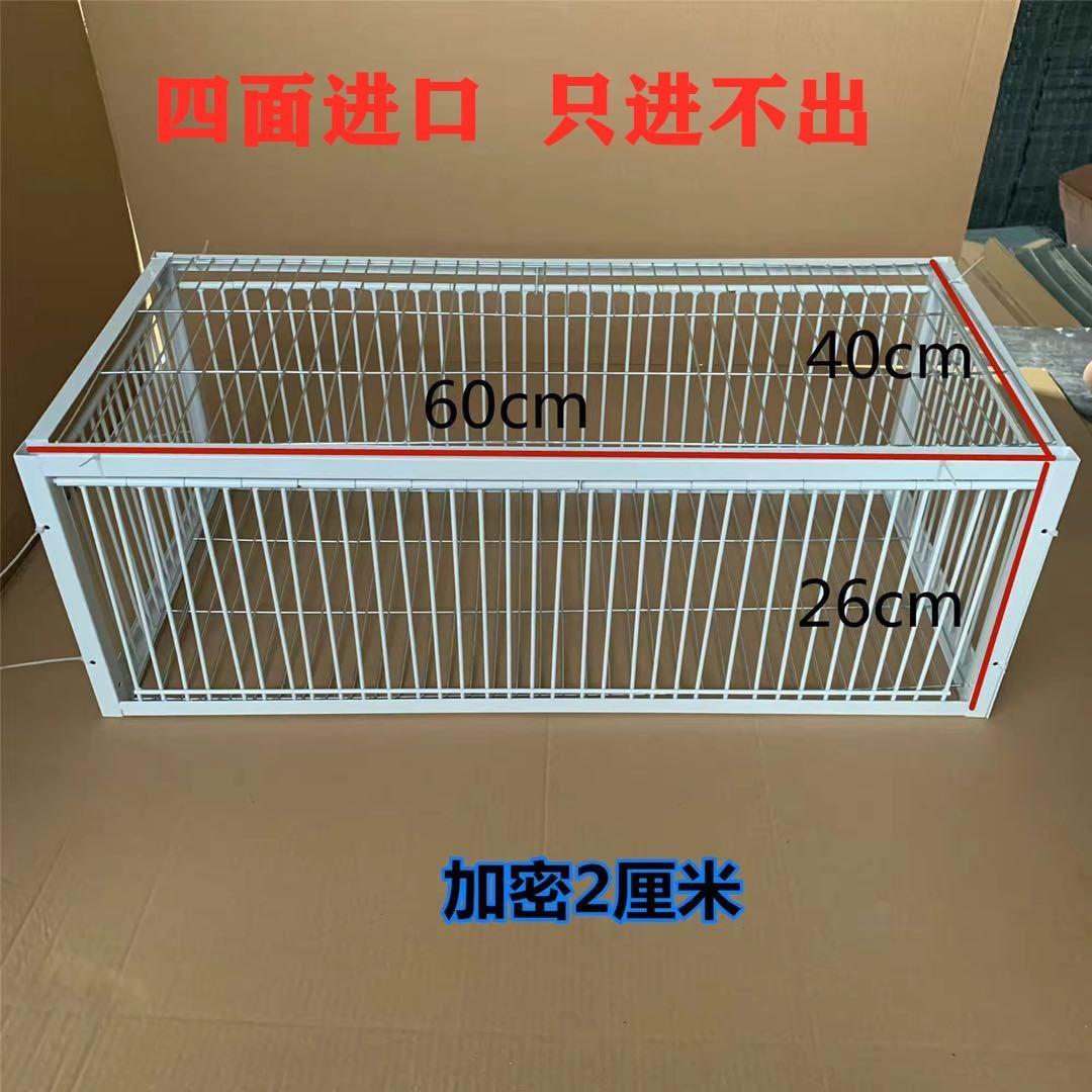 抓天落鸽子笼只进不出鸽子笼鸟笼捕鸽陷阱笼抓鸟笼加密鸽子撞门笼加密
