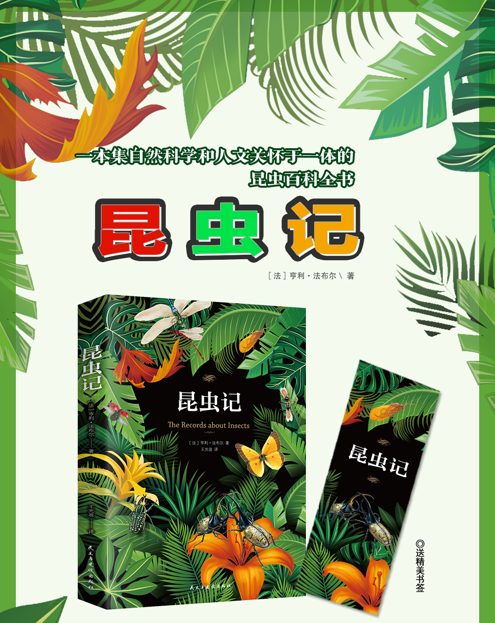 初中生阅读小学生课外阅读书籍昆虫记八年级必读世界名著儿童读物三四